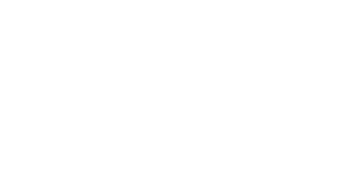 NDI logo white