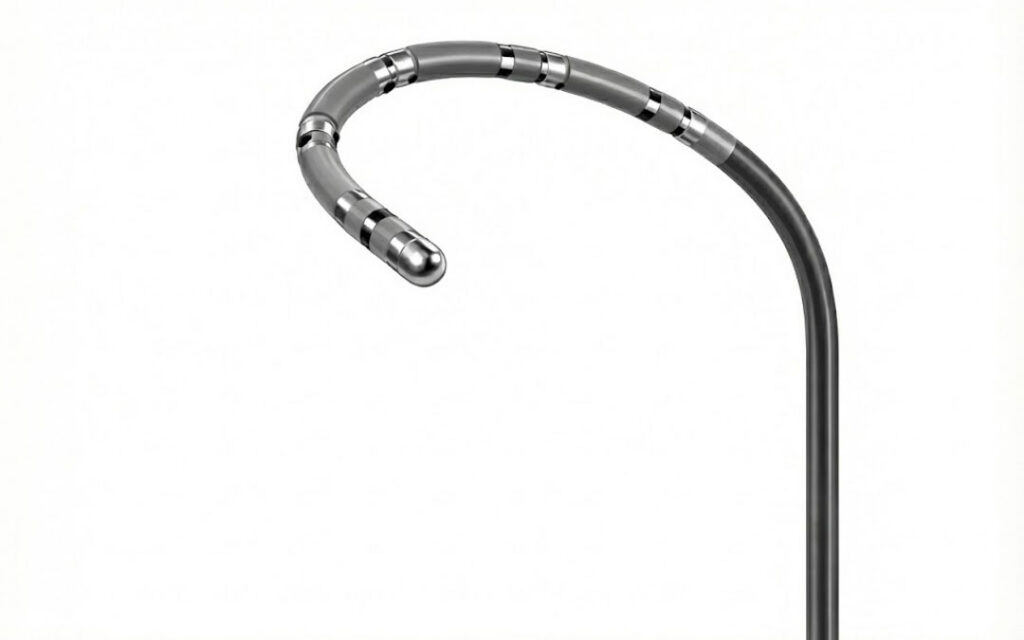 Image of a Mapping Catheter